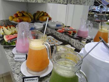 www.plazzahotelms.com.br