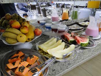 www.plazzahotelms.com.br