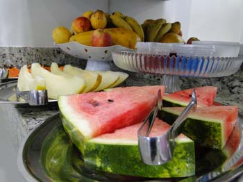 www.plazzahotelms.com.br