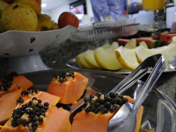 www.plazzahotelms.com.br