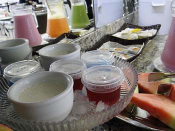 www.plazzahotelms.com.br
